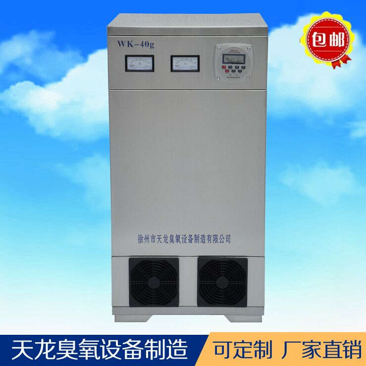 臭氧发生器 外置消毒机40g 车间养殖场食品厂药厂消毒 厂家直销
