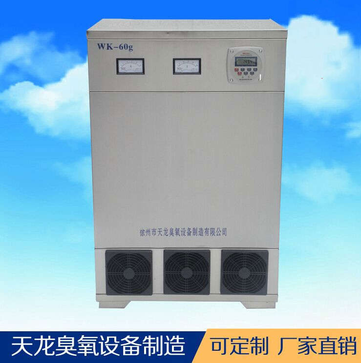 臭氧设备 外置消毒机60g 车间养殖场食品厂药厂消毒 厂家直销