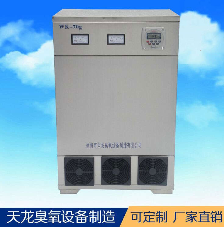 臭氧设备 外置消毒机70g 车间养殖场食品厂药厂消毒 厂家直销
