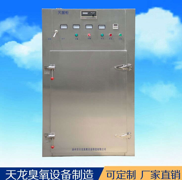 臭氧发生器 常温对流灭菌WD-800L 模具瓶盖消毒 厂家直销