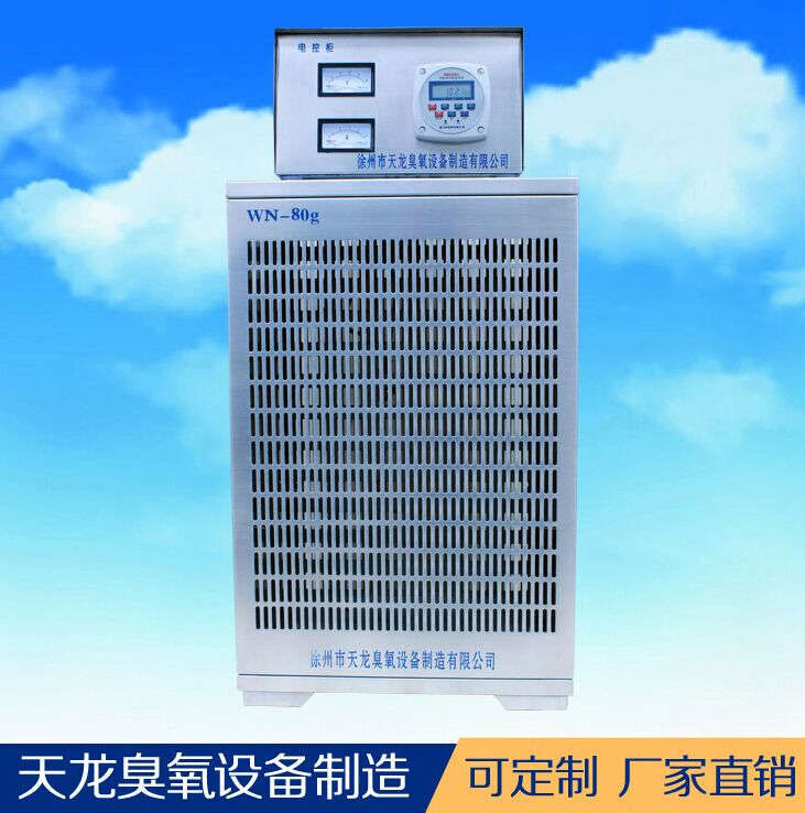 臭氧设备 内置臭氧机WN-80g 食品厂药厂养殖场消毒杀菌