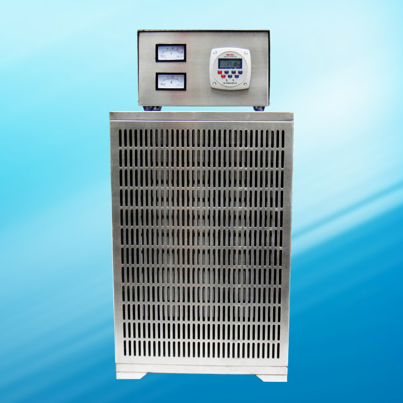 WN系列内置式臭氧发生器