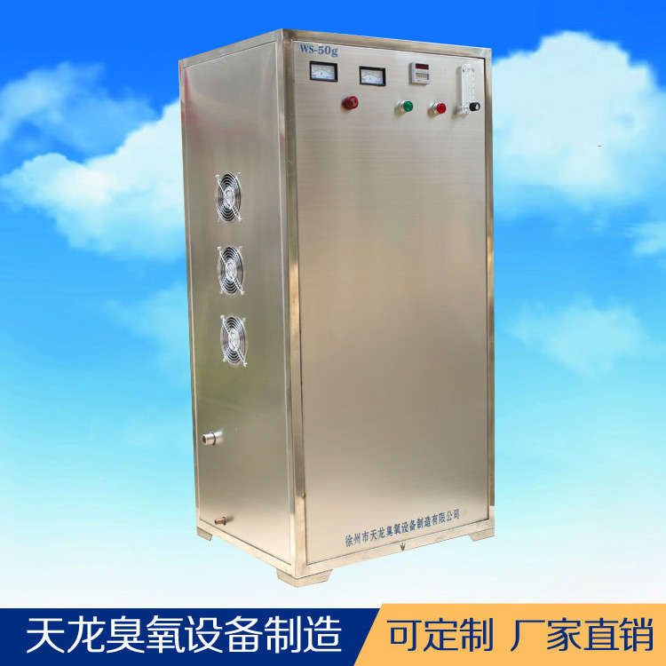 大型臭氧设备 水处理臭氧机WS-20g 强效杀菌 厂家直销