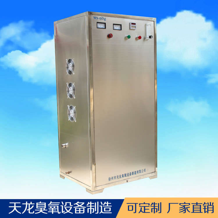 臭氧设备 水处理臭氧消毒机WS-30g 厂家直销 强效杀菌 臭氧发生器