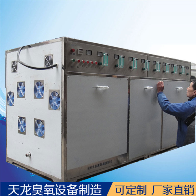 污水处理 臭氧设备 WS-5公斤臭氧机 有效降解COD高浓度臭氧脱色去异味