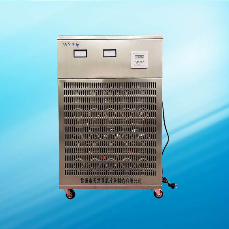 臭氧发生器 移动式臭氧消毒机30g 食品厂消毒 厂家直销 可定做